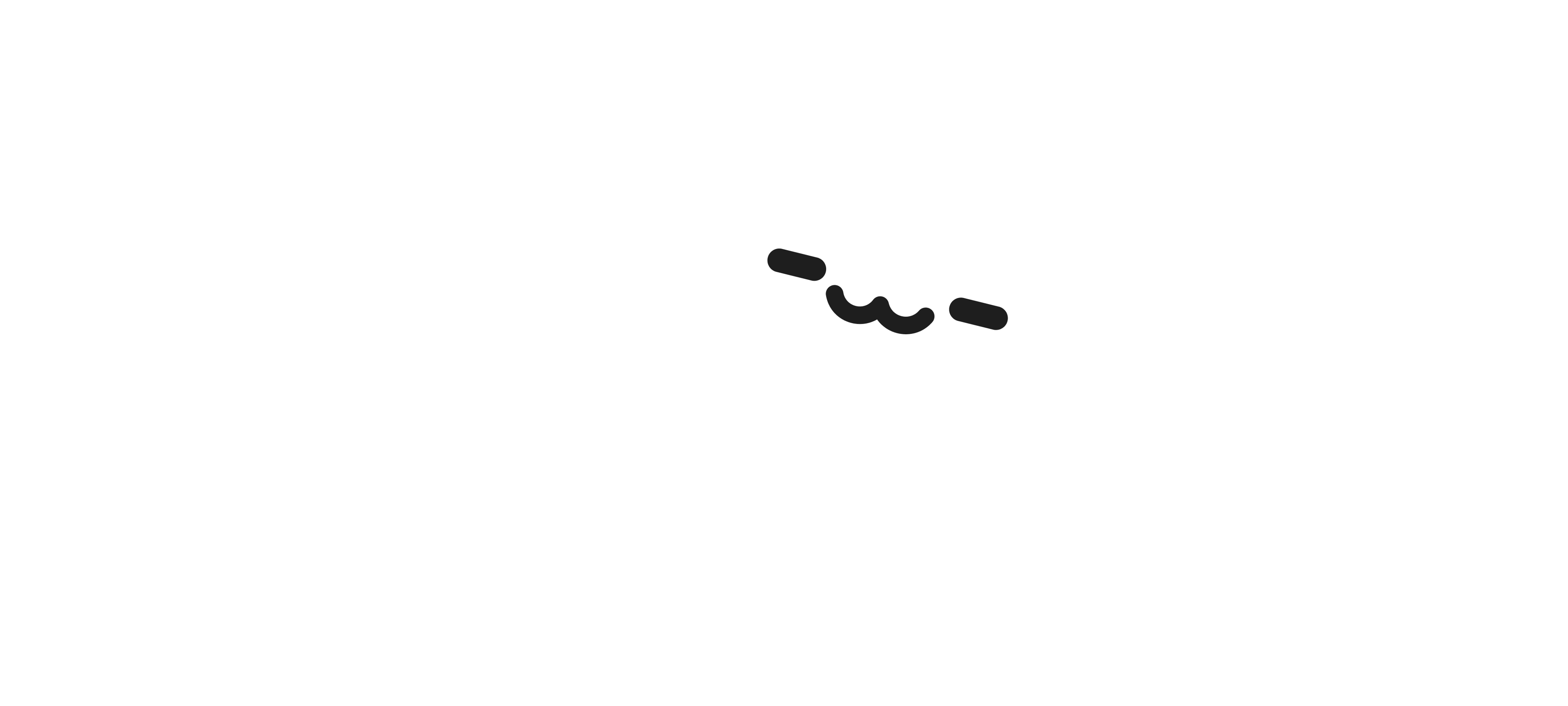 Disbridge Icon